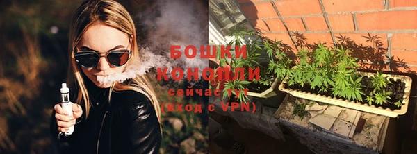 PSILOCYBIN Няндома