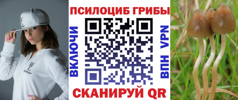 Псилоцибиновые грибы Magic Shrooms  Сасово 